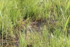 Killikus&reg; Fotographie